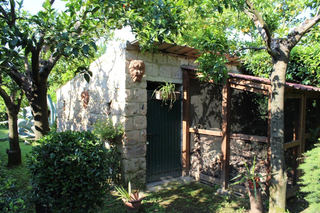 Il Giardino Degli Agrumi Caserta Exterior photo